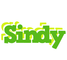 Sindy picnic logo