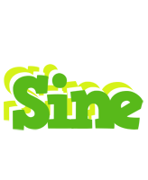 Sine picnic logo