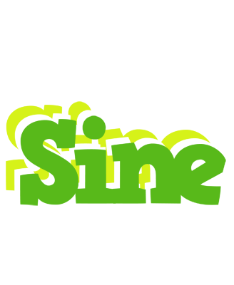 Sine picnic logo