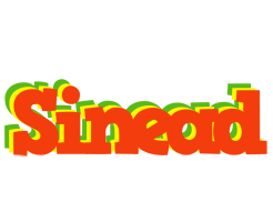 Sinead bbq logo