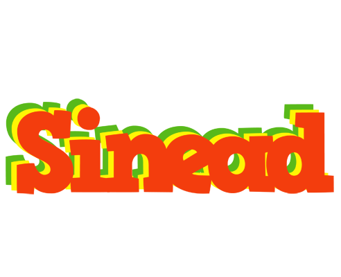 Sinead bbq logo
