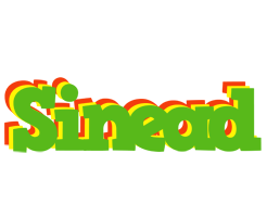 Sinead crocodile logo