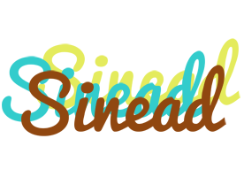 Sinead cupcake logo