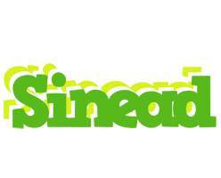 Sinead picnic logo