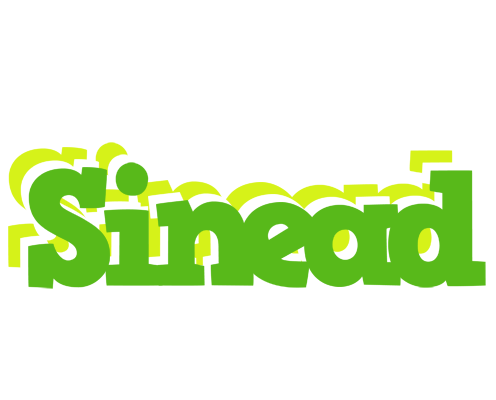 Sinead picnic logo