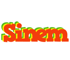 Sinem bbq logo