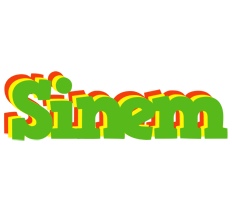 Sinem crocodile logo