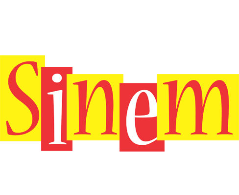 Sinem errors logo