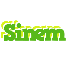 Sinem picnic logo