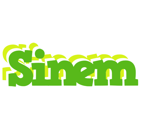 Sinem picnic logo