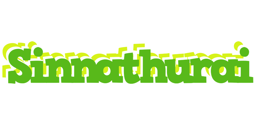 Sinnathurai picnic logo