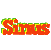 Sinus bbq logo