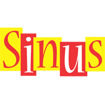 Sinus errors logo