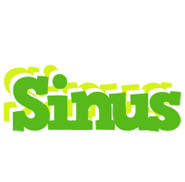 Sinus picnic logo