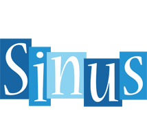 Sinus winter logo