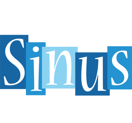 Sinus winter logo