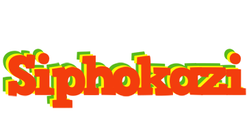 Siphokazi bbq logo