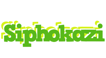 Siphokazi picnic logo
