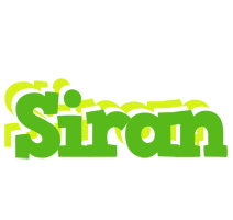 Siran picnic logo