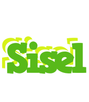 Sisel picnic logo