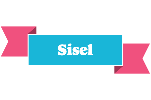Sisel today logo