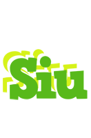 Siu picnic logo