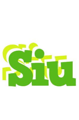 Siu picnic logo
