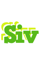 Siv picnic logo