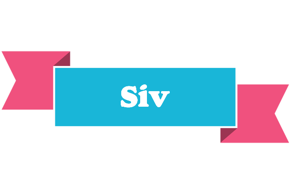 Siv today logo