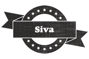 Siva grunge logo