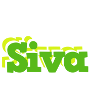 Siva picnic logo