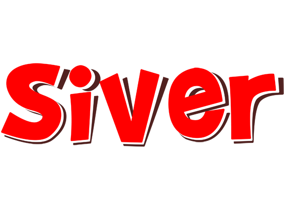 Siver basket logo