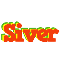 Siver bbq logo