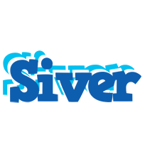 Siver business logo