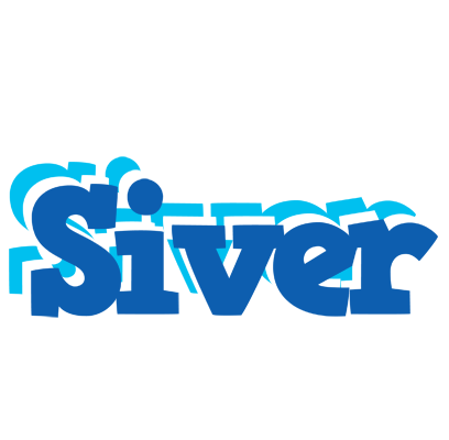 Siver business logo