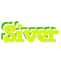 Siver citrus logo