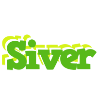 Siver picnic logo