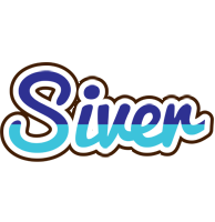 Siver raining logo