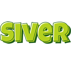 Siver summer logo