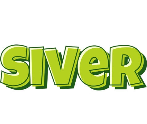 Siver summer logo