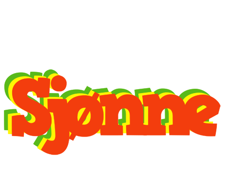 Sjønne bbq logo
