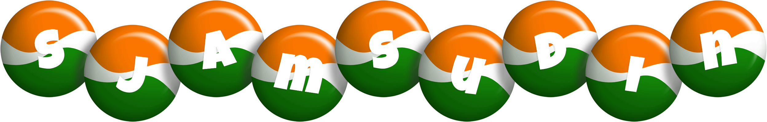 Sjamsudin india logo