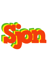 Sjon bbq logo