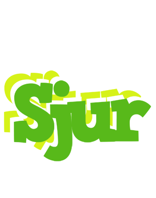 Sjur picnic logo