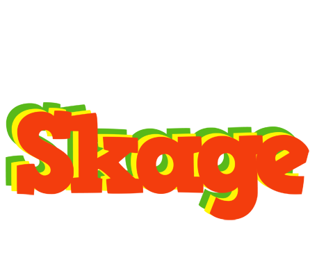 Skage bbq logo