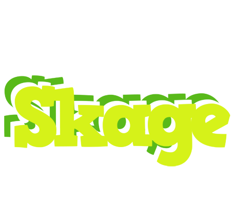 Skage citrus logo