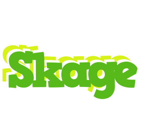Skage picnic logo