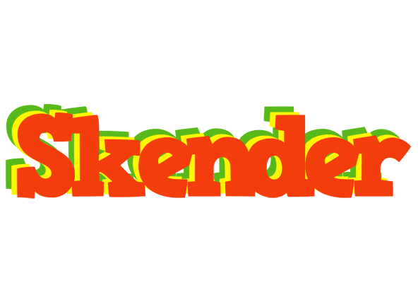 Skender bbq logo