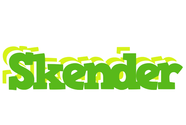 Skender picnic logo