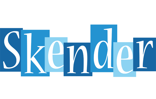 Skender winter logo